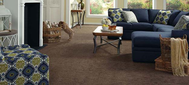 050520 American Flooring American Flooring Hgtv Buy Carpet 10