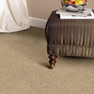 050520 American Flooring Carpet Thumb