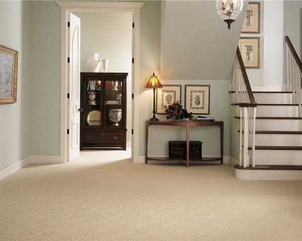 050520 American Flooring Stainmaster Carpet Foyer 01