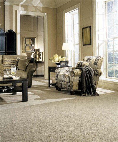 050520 American Flooring Stainmaster Carpet Living 01 2