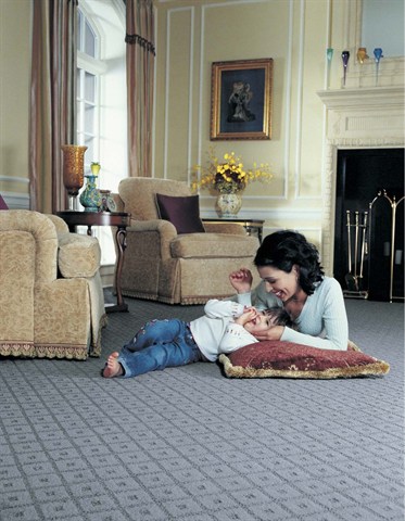 050520 American Flooring Stainmaster Carpet Living 02 2